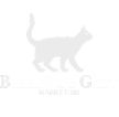 Agência Balaio de Gato